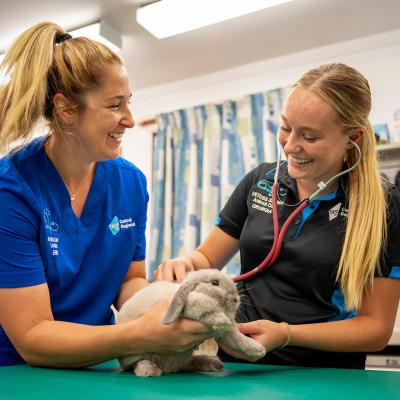 VETDSS Student - VET Nursing