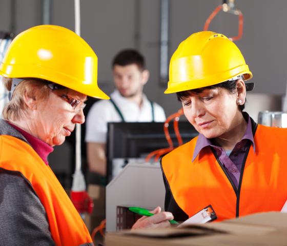Work Health and Safety