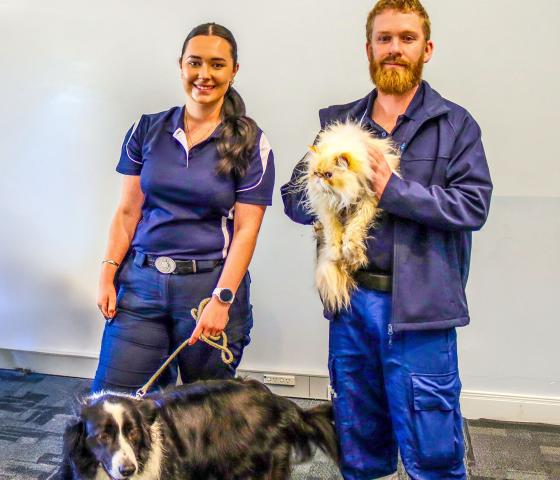 Dog and Cat Management and Control Skill Set