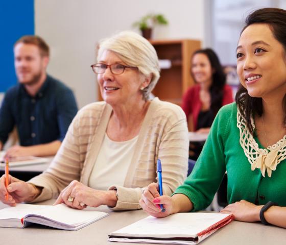 Education adults languages