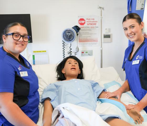 Nurses studies nursing
