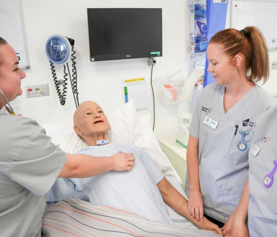 Nursing nurses diploma